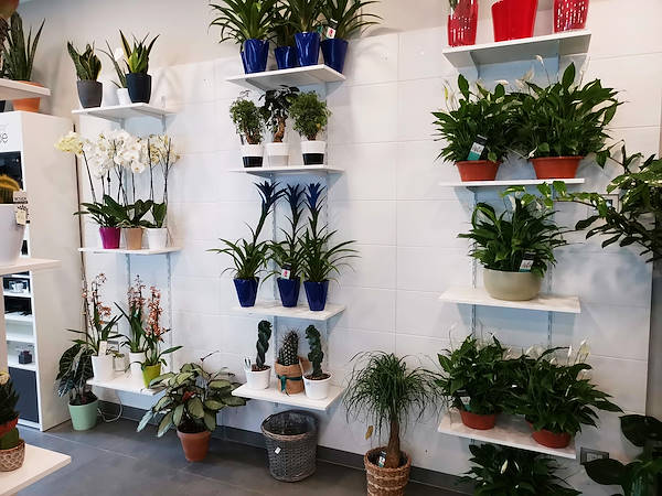 El Oasi dei fiori de Milán se renueva con un diseño juvenil y elegante