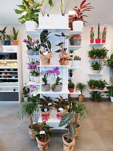 El Oasi dei fiori de Milán se renueva con un diseño juvenil y elegante