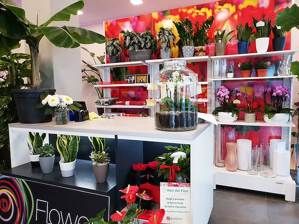 El Oasi dei fiori de Milán se renueva con un diseño juvenil y elegante