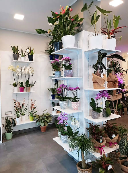 El Oasi dei fiori de Milán se renueva con un diseño juvenil y elegante