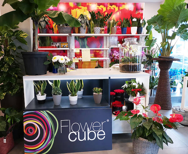 El Oasi dei fiori de Milán se renueva con un diseño juvenil y elegante