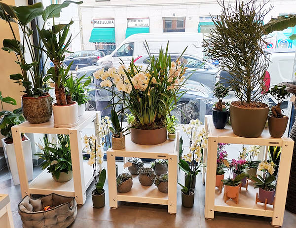 El Oasi dei fiori de Milán se renueva con un diseño juvenil y elegante