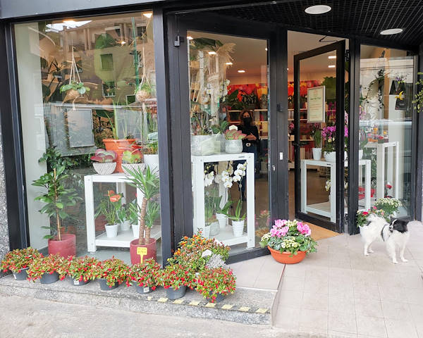 El Oasi dei fiori de Milán se renueva con un diseño juvenil y elegante