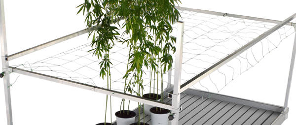 Equipos para la producción de plantas y flores