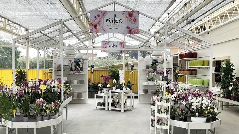 Nuevo look para Erika Vivai Mancinelli