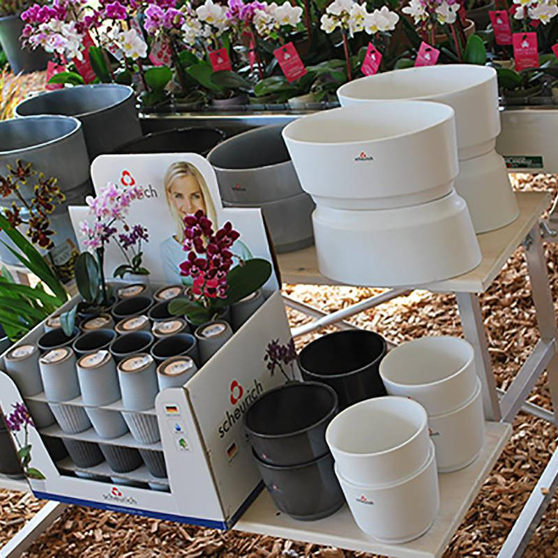 Escalier  avec 2 marches