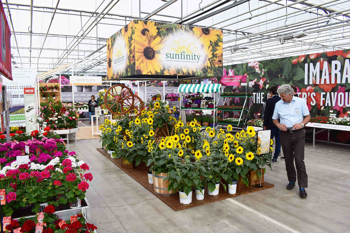 Iles scénographiques personnalisées 