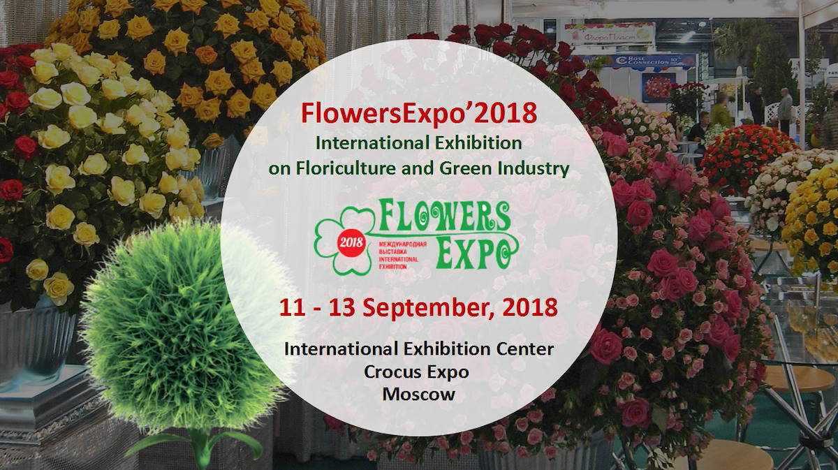 ORGANIZZAZIONE ORLANDELLI - STAND N502