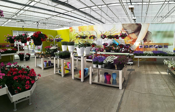 FlowerTrials 2017