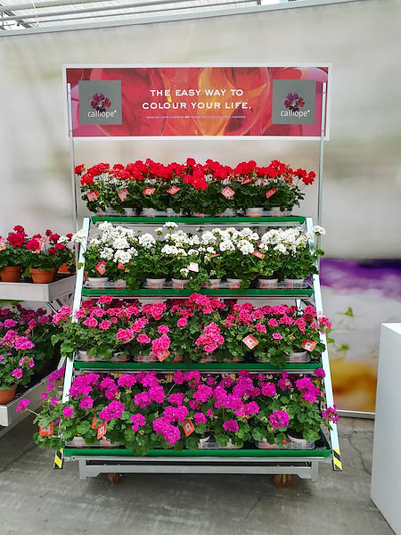 FlowerTrials 2017