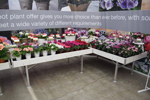 FlowerTrials 2018