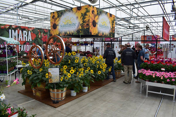 FlowerTrials 2018