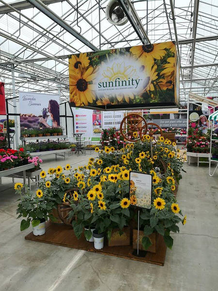 FlowerTrials 2018