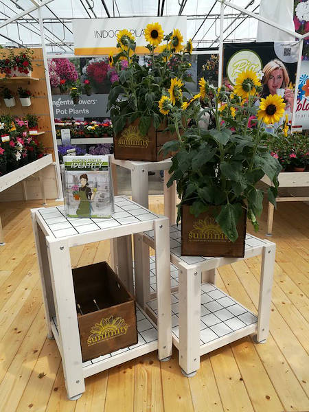 FlowerTrials 2018