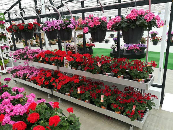 FlowerTrials 2018