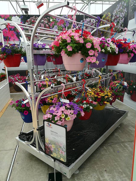 FlowerTrials 2018