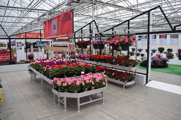 FlowerTrials 2018