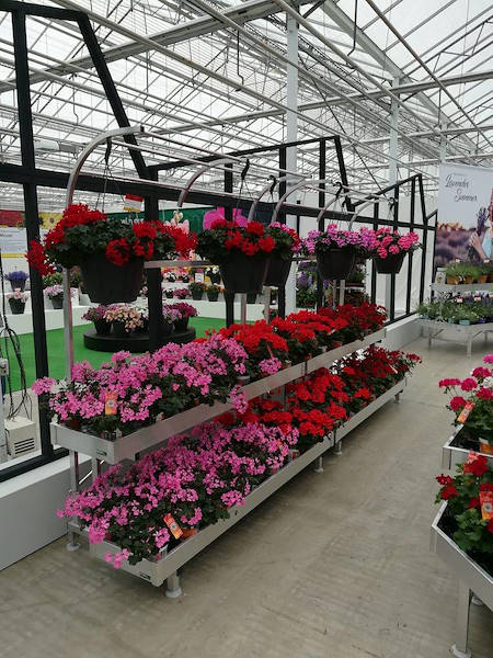 FlowerTrials 2018
