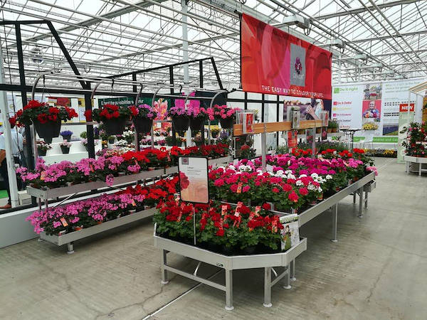 FlowerTrials 2018