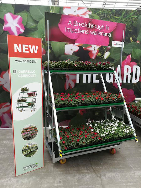 FlowerTrials 2018