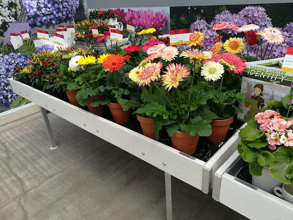FlowerTrials 2018