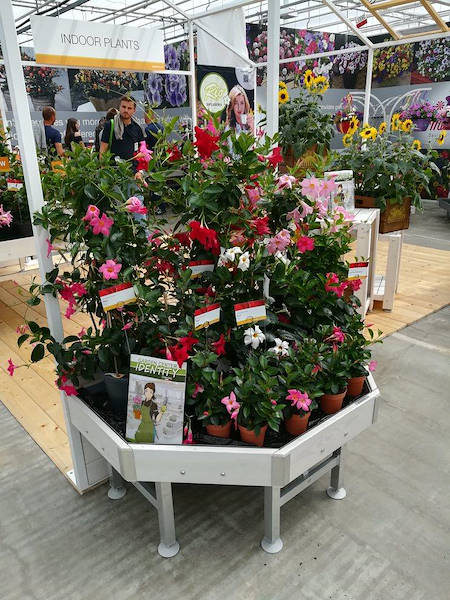 FlowerTrials 2018