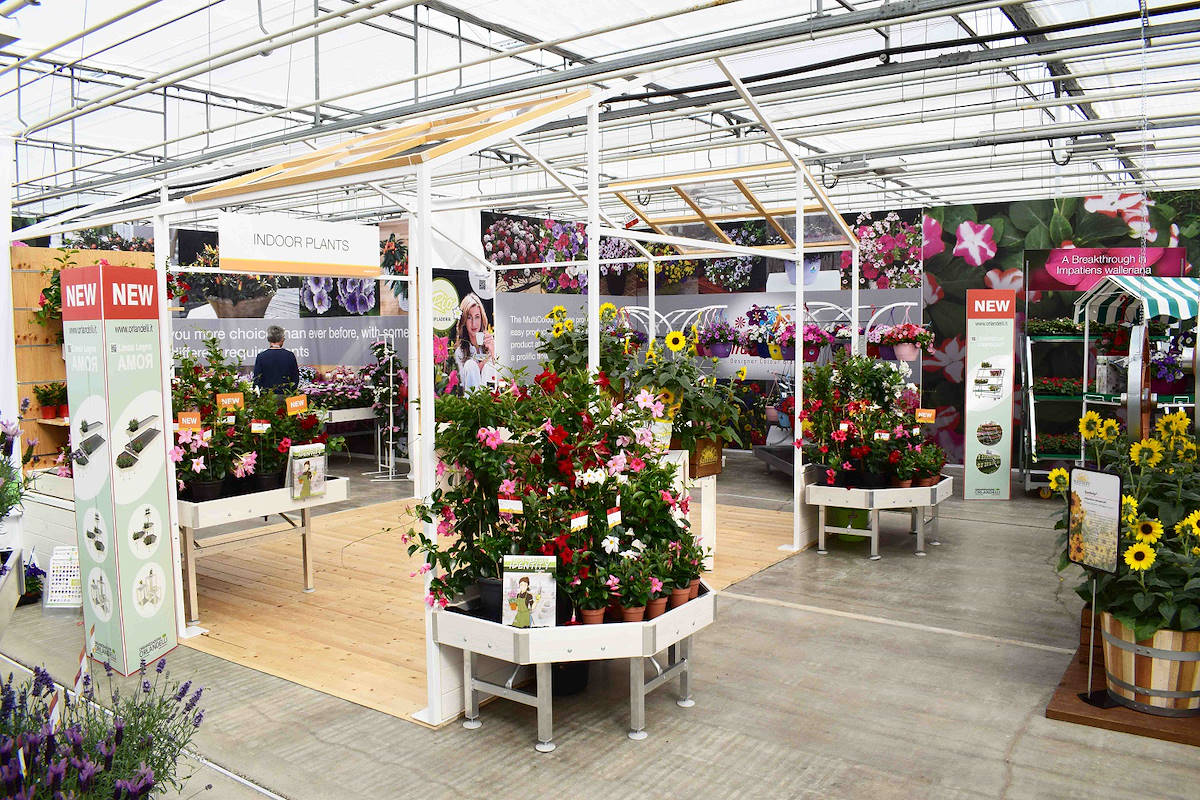 Greenhouse - Garden Center Identity