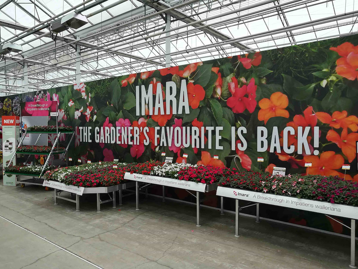 Gráfica comunicativa