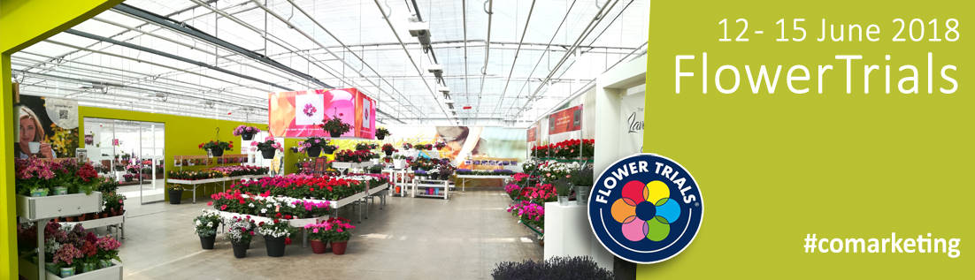 Le co-marketing entre Orlandelli et Syngenta présentera nouvelles variété et nouvels concepts d’exposition pour vendre plantes et fleurs