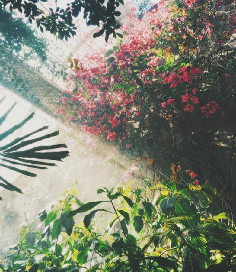  LA PRESCRIPCIóN DE LA NATURA PARA EL BIENESTAR MENTAL