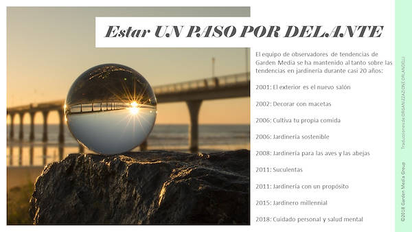 Pag 3 / 49 - GTR 2019