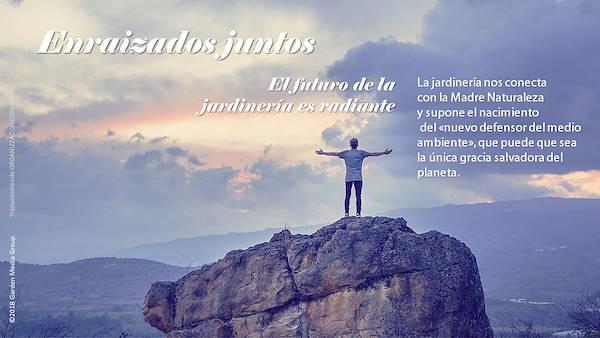 Pag 4 / 49 - GTR 2019