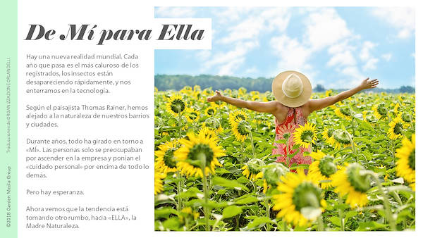 Pag 5 / 49 - GTR 2019