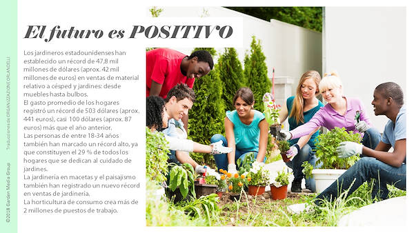 Pag 7 / 49 - GTR 2019