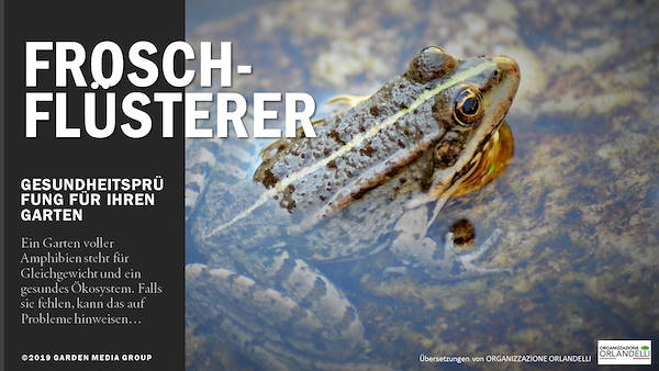 Garden Trends Report 2020 - Part three