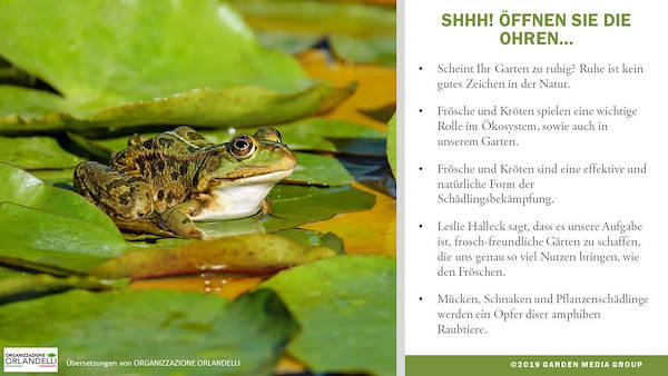 Garden Trends Report 2020 - Part three