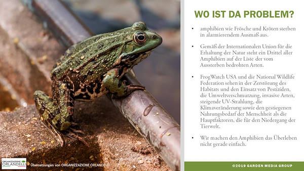 Garden Trends Report 2020 - Part three