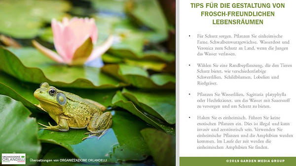 Garden Trends Report 2020 - Part three