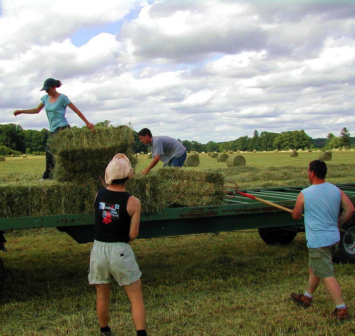 EDUCATION CHANGE – PAGE 18