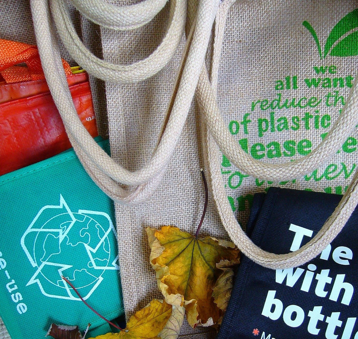 Los líderes «verdes»- 14/46