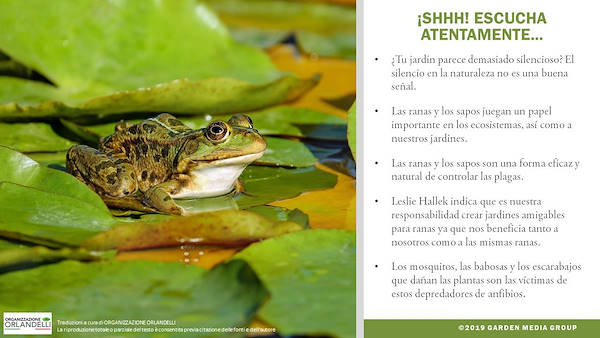 Garden Trends Report 2020 -  Tercera parte