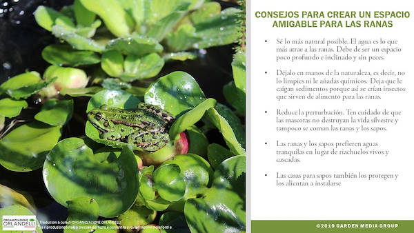 Garden Trends Report 2020 -  Tercera parte