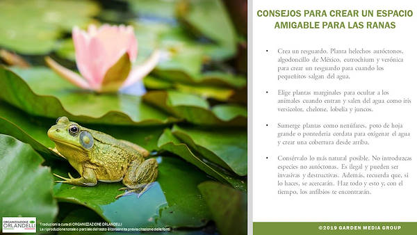 Garden Trends Report 2020 -  Tercera parte