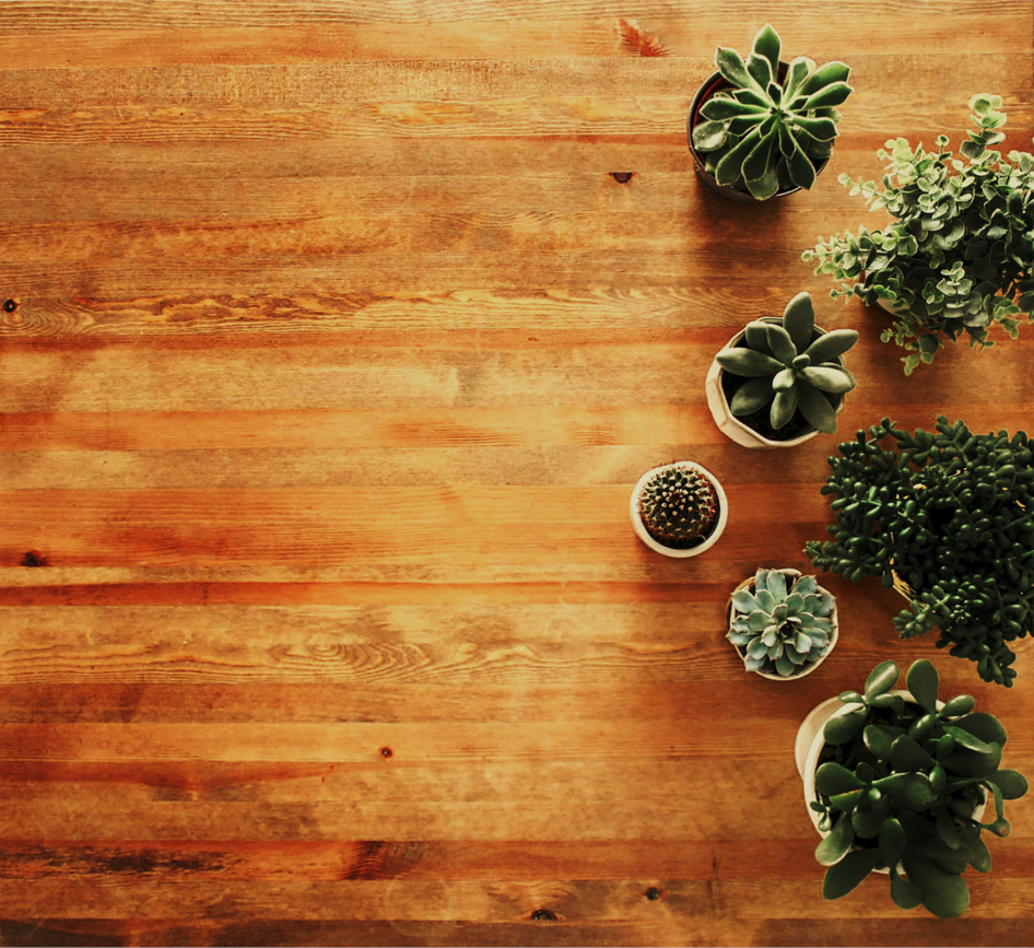 Gratificación  Impaciente - Pag. 27