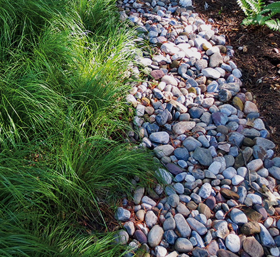 Diseño De Jardineria - Pag. 31