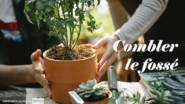 Garden Trends Report - Deuxième partie