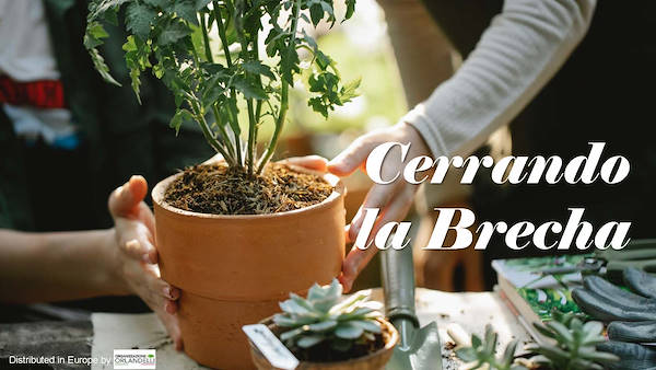 Garden Trends Report - Segunda parte