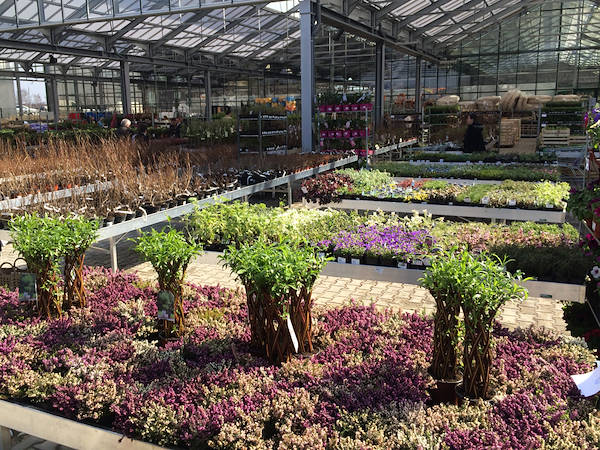 Gartencenter – Outdoor