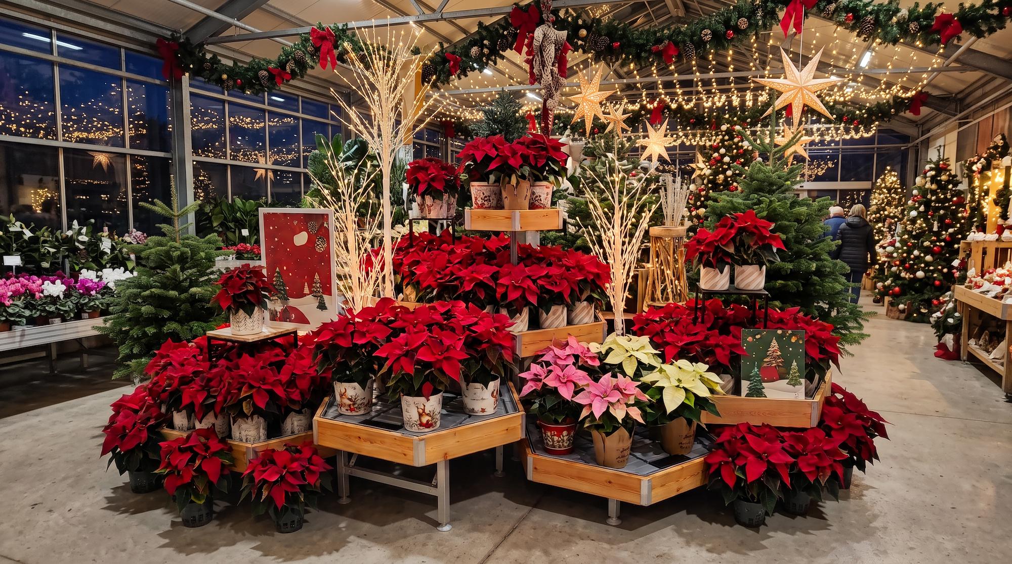 Furnishing solutions for garden centers