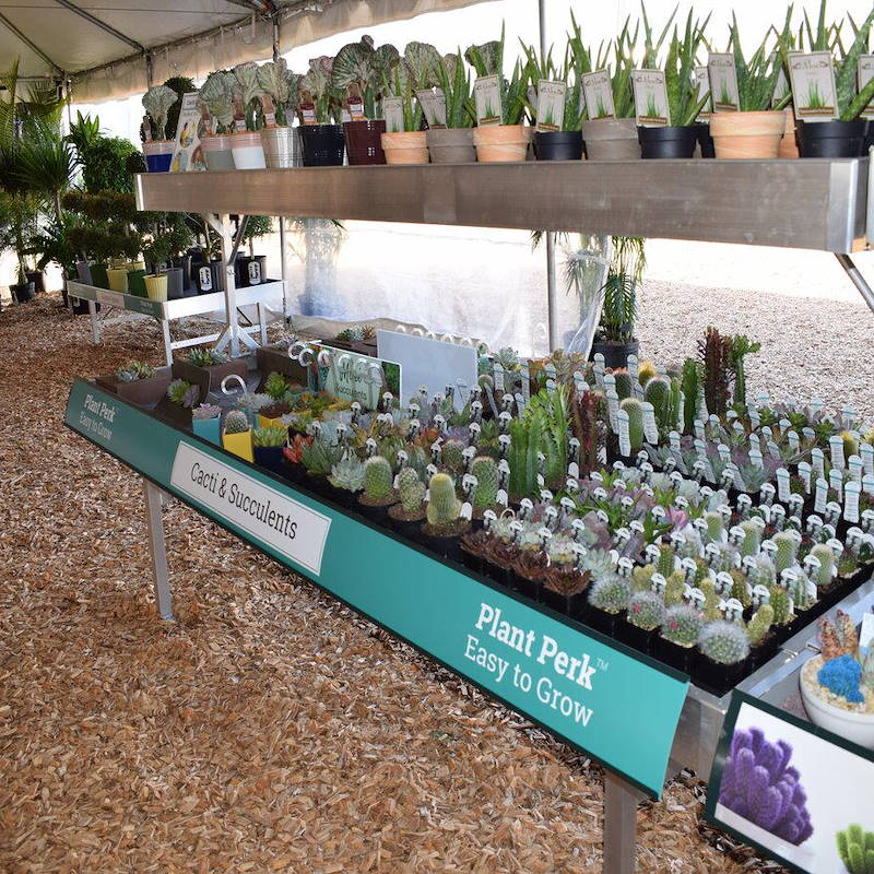 Graphic displays for benches